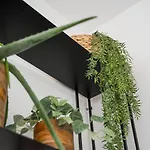 Apartment Guestready - The Perfect Haven Near St. Catarina *