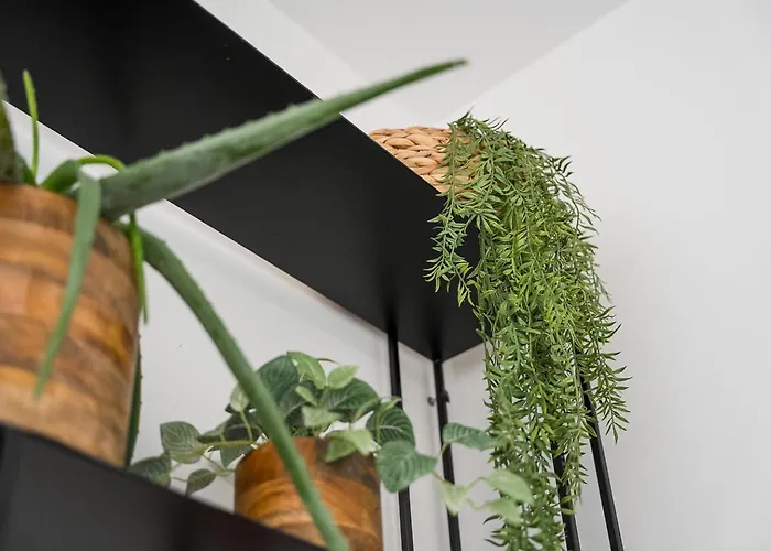 Appartement Guestready - The Perfect Haven Near St. Catarina *